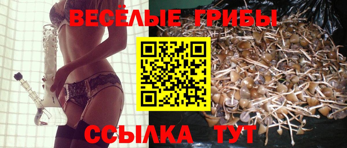 Галлюциногенные грибы GOLDEN TEACHER  как найти закладки  Псилоцибиновые грибы ЛСД  Киселёвск  Вход с VPN 